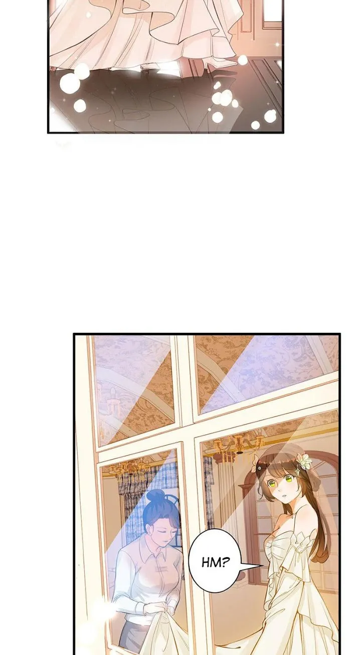 Substitute Bride Chapter 1 page 7 - 