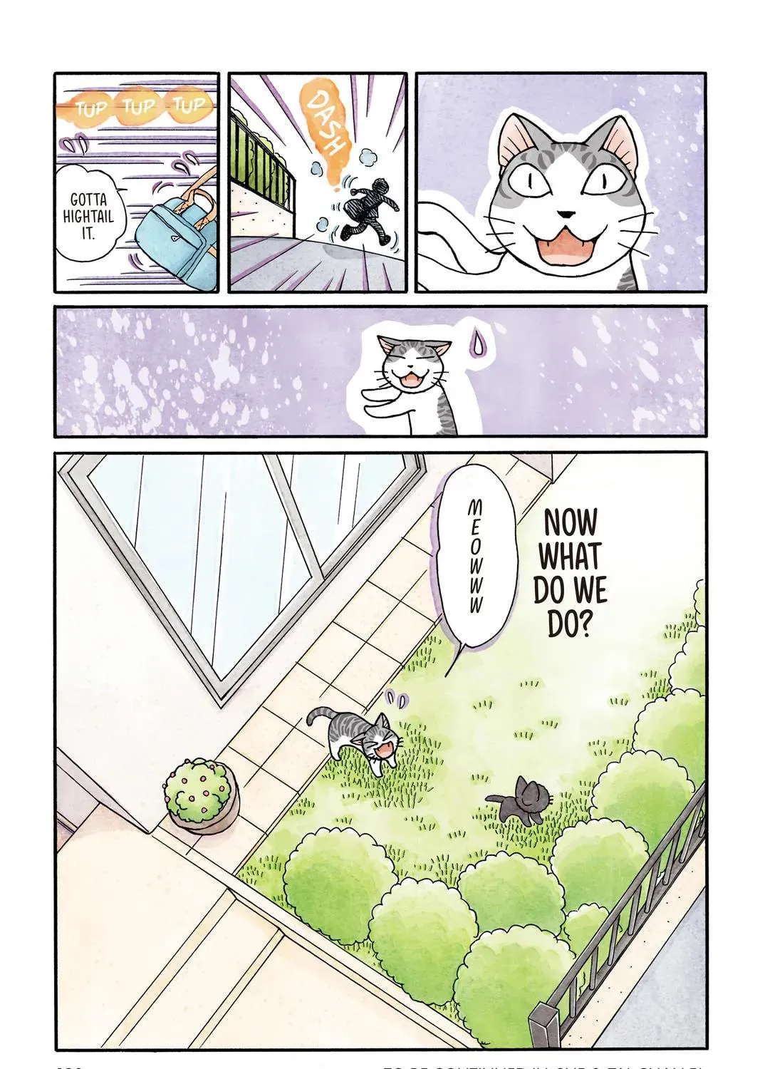 Sue & Tai-chan Chapter 0 page 241 - 