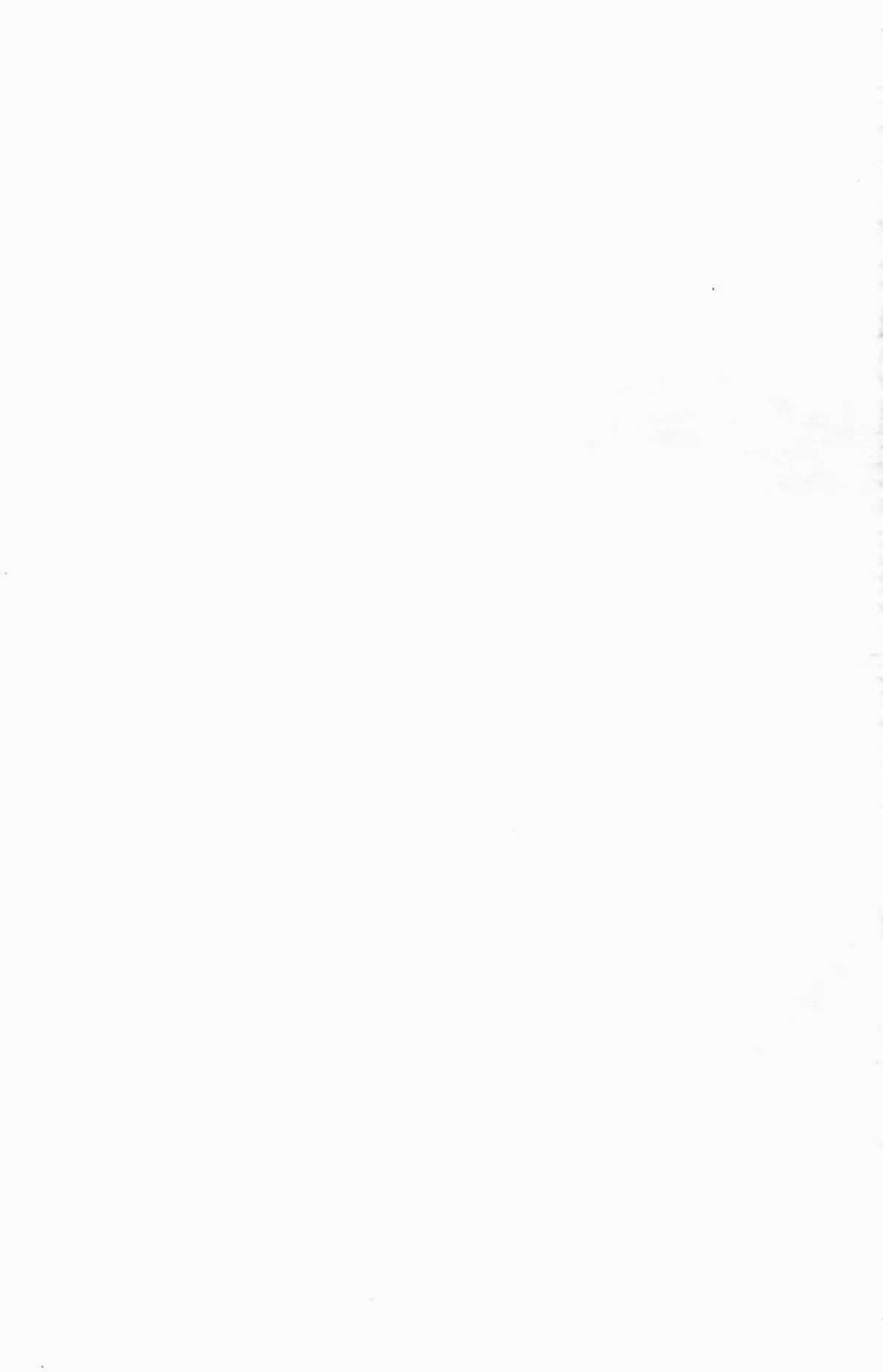 Suikoden Chapter 0 page 4 - 