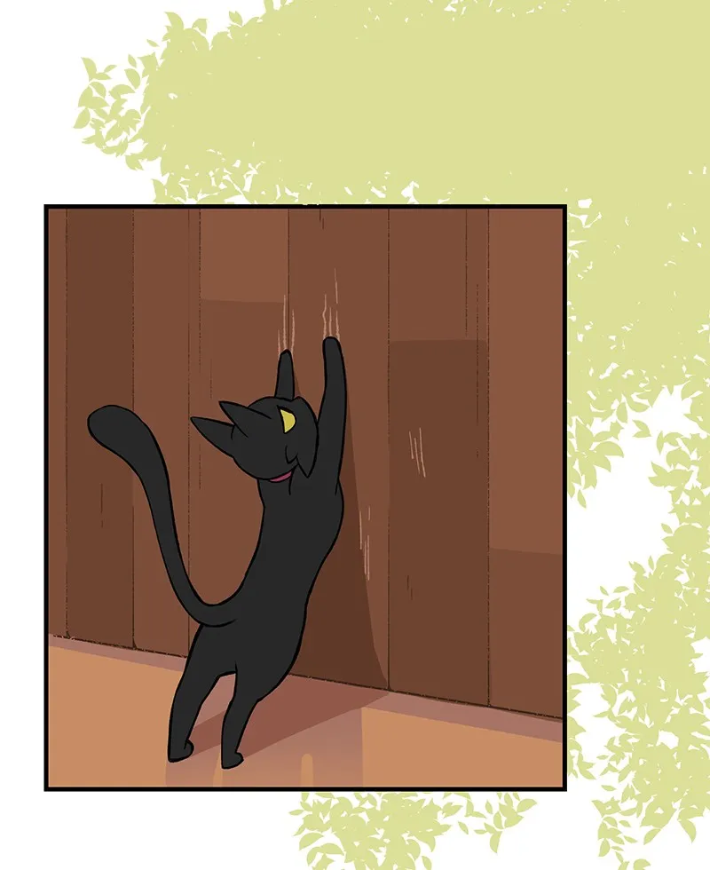 Suitor Armor Chapter 1 page 71 - 