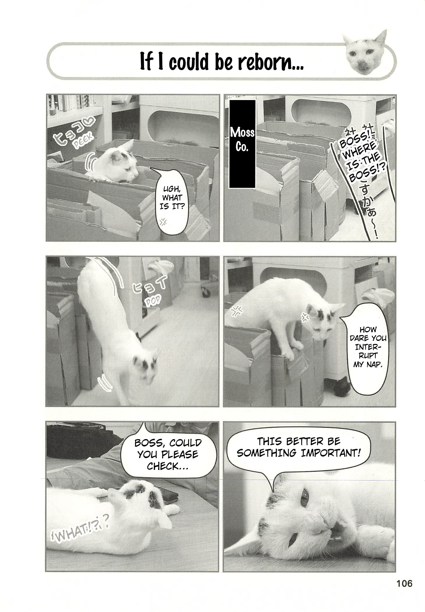 Sukeban Henshuuchou Rena Chapter 12 page 1 - 