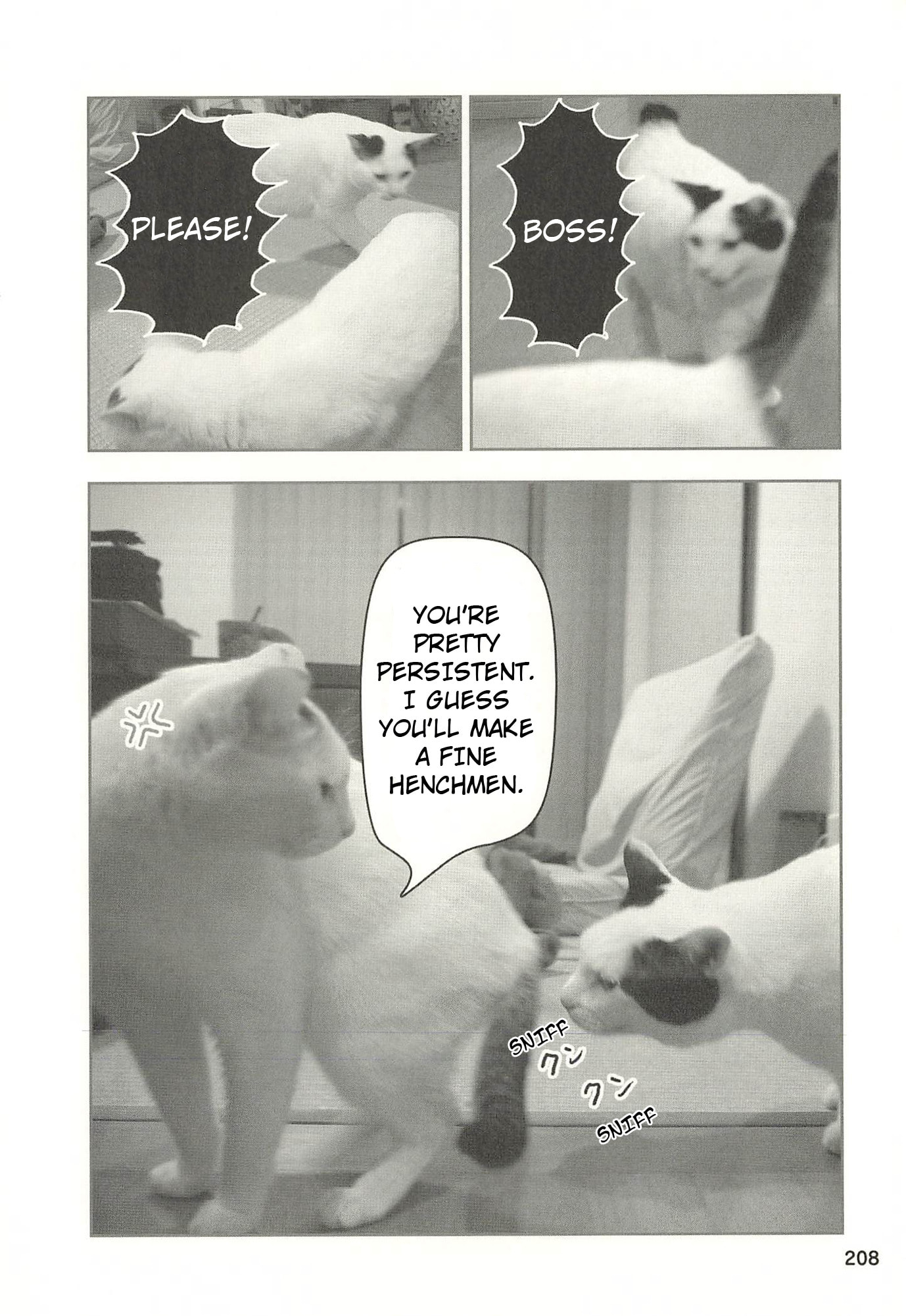 Sukeban Henshuuchou Rena Chapter 21 page 5 - 