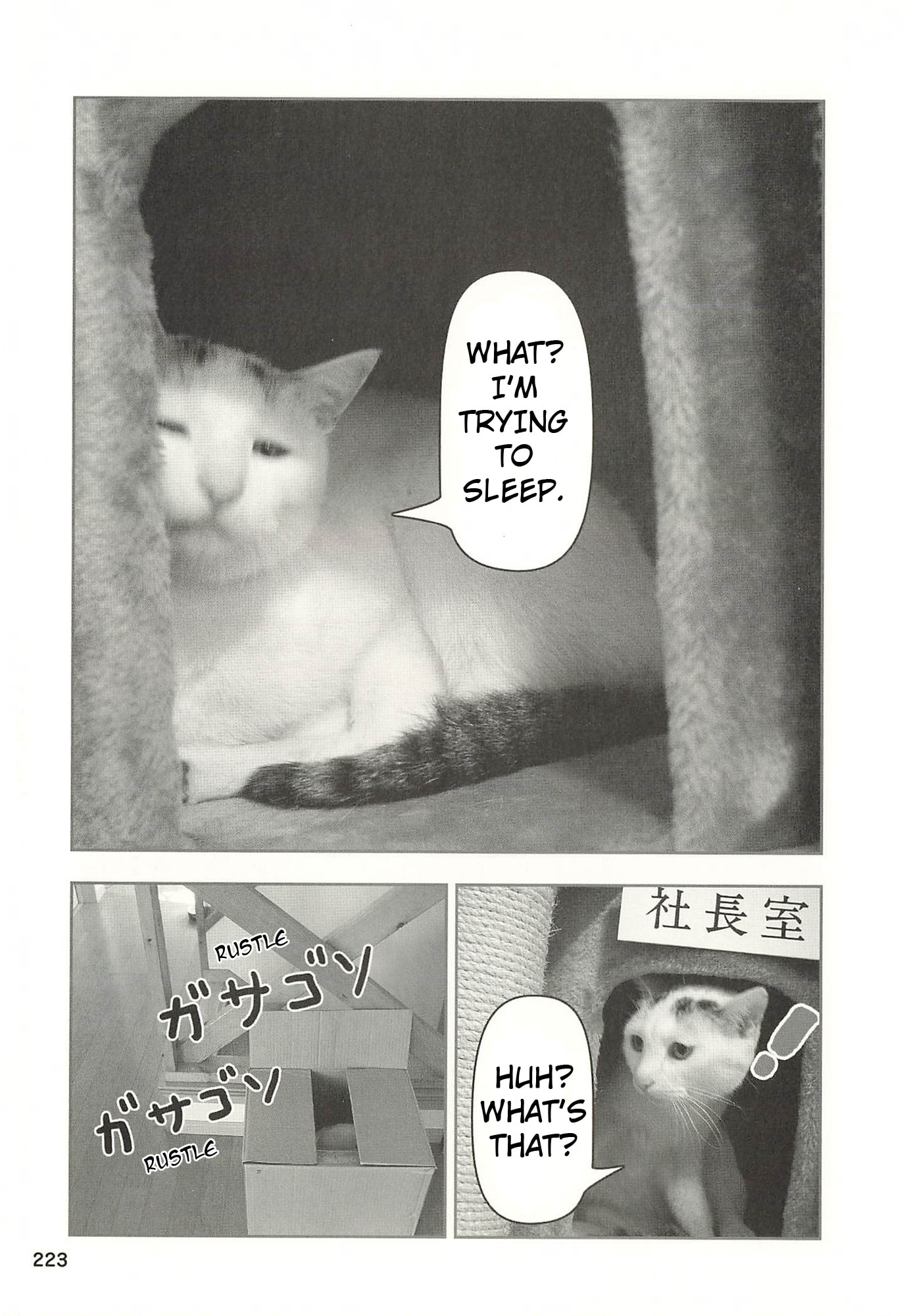 Sukeban Henshuuchou Rena Chapter 22 page 4 - 