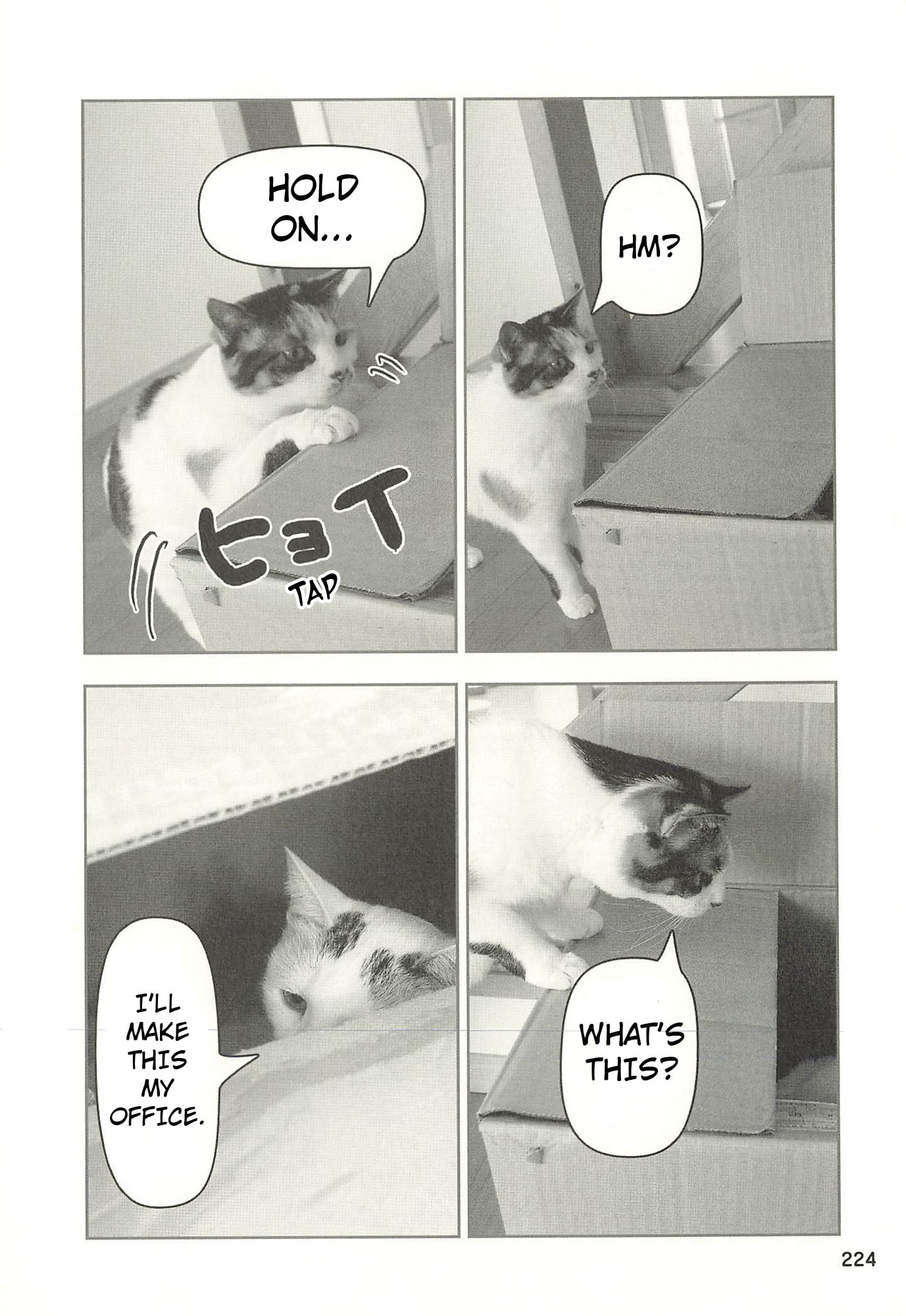 Sukeban Henshuuchou Rena Chapter 22 page 5 - 