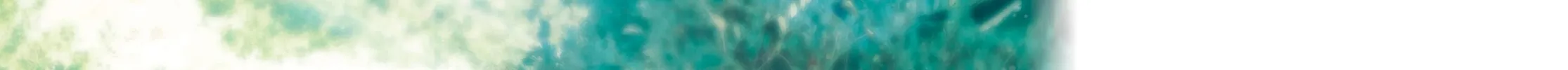 Summertime Rendering Chapter 139 page 66 - 