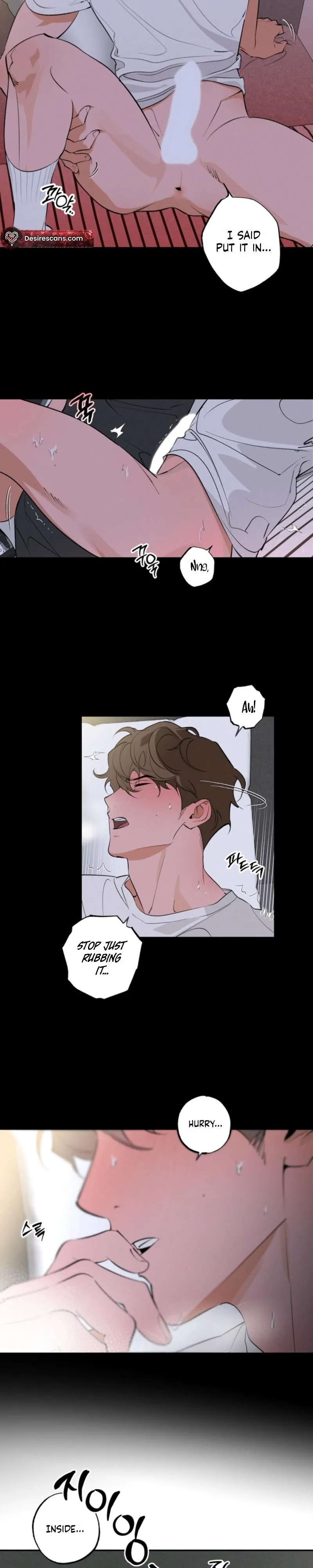 Sunflower Scandal Chapter 1 page 3 - 