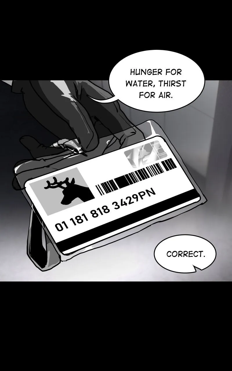 Sunset Phoenix Chapter 11 page 14 - 