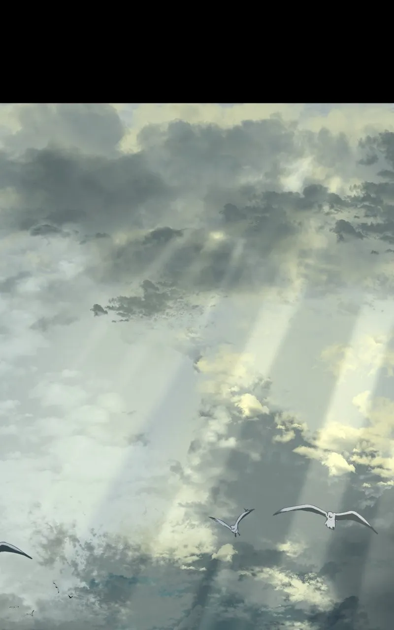 Sunset Phoenix Chapter 20 page 62 - 