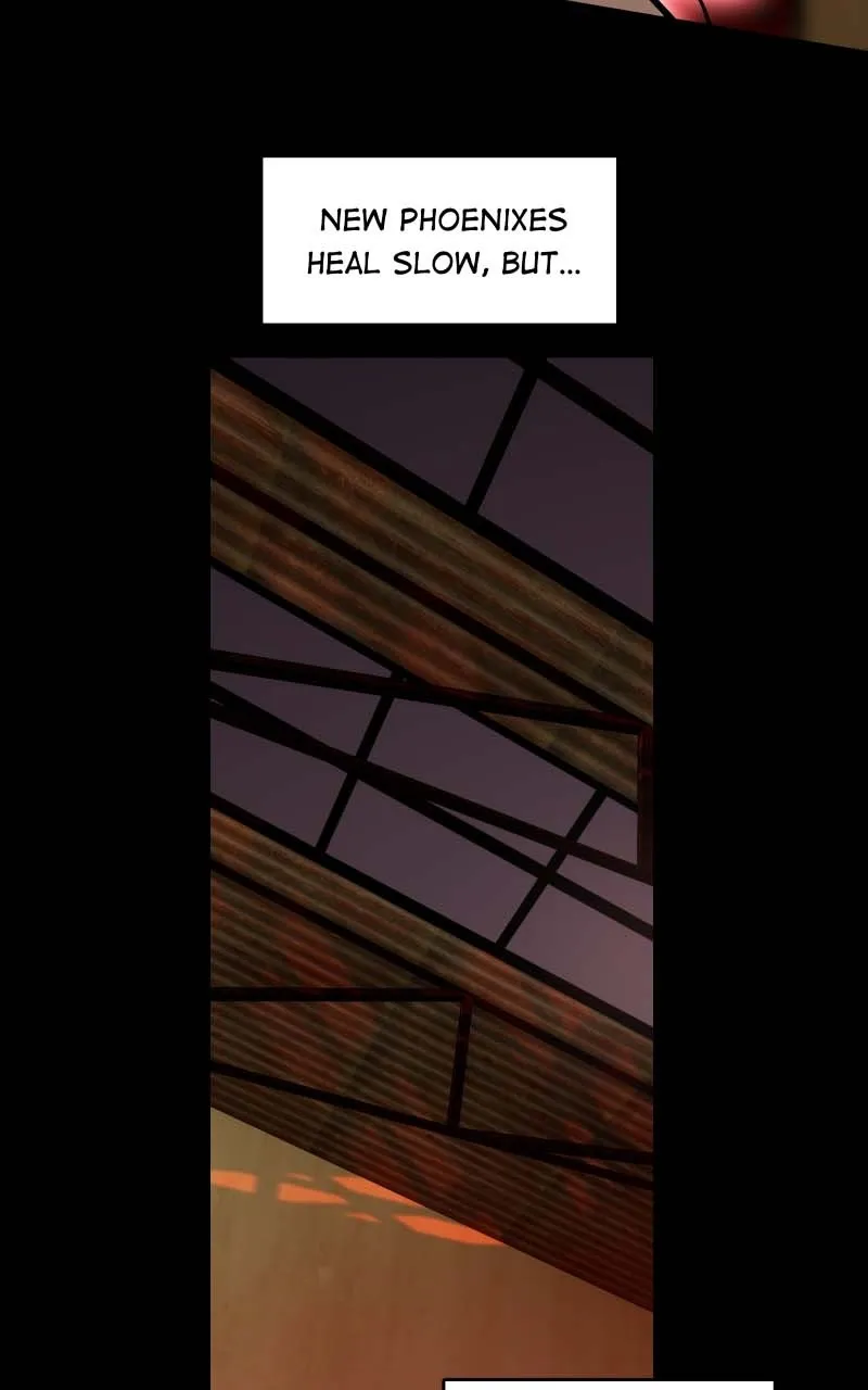 Sunset Phoenix Chapter 27 page 7 - 