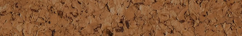 Sunset Phoenix Chapter 30.1 page 20 - 