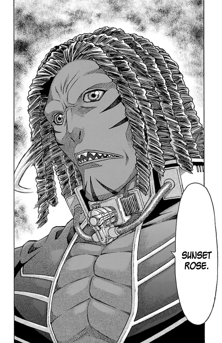 Sunset Rose Chapter 29 page 42 - 