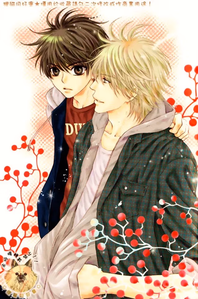 Super Lovers Chapter 15.5 page 10 - 
