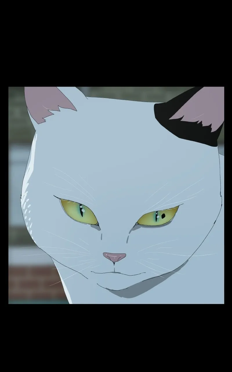 Survive  Webtoon Chapter 33 page 19 - 