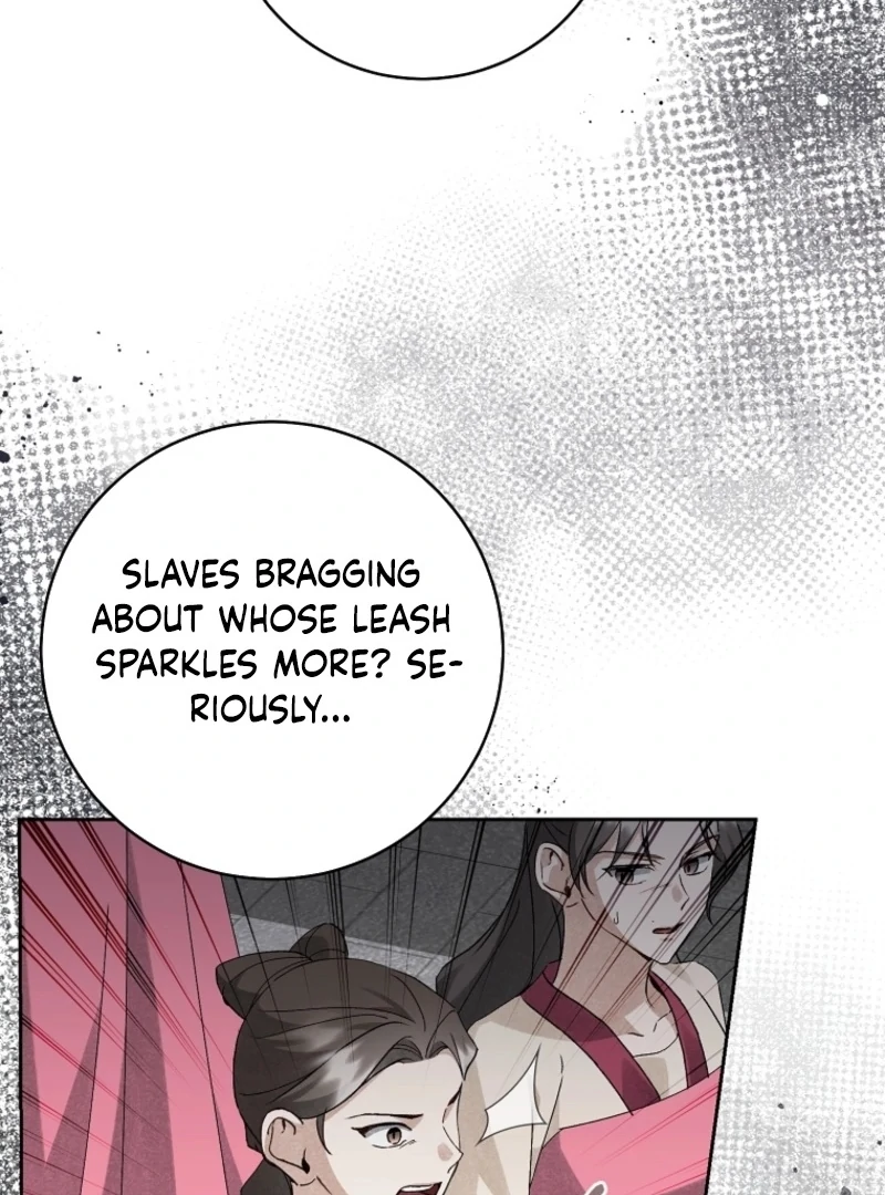Surviving as the Dang Clan's Handmaiden Chapter 20 page 13 - 