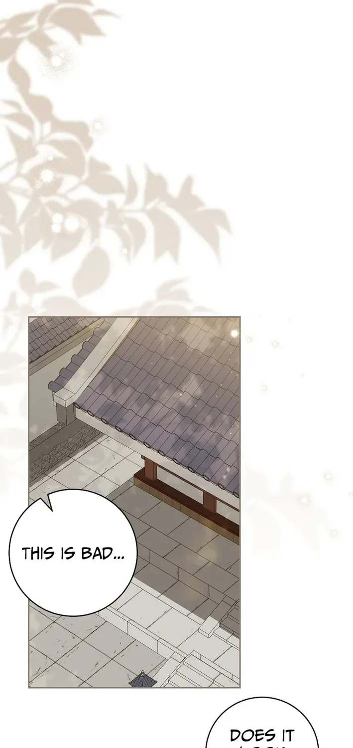Surviving as the Sichuan Tang Clan’s Maid Chapter 20 page 46 - 