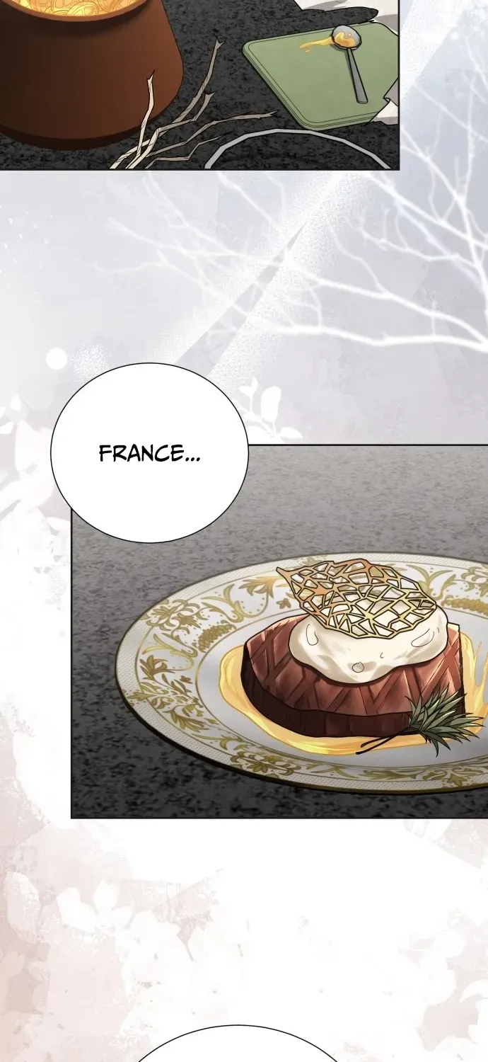Surviving as the Tyrant King’s Chef Chapter 1 page 67 - 