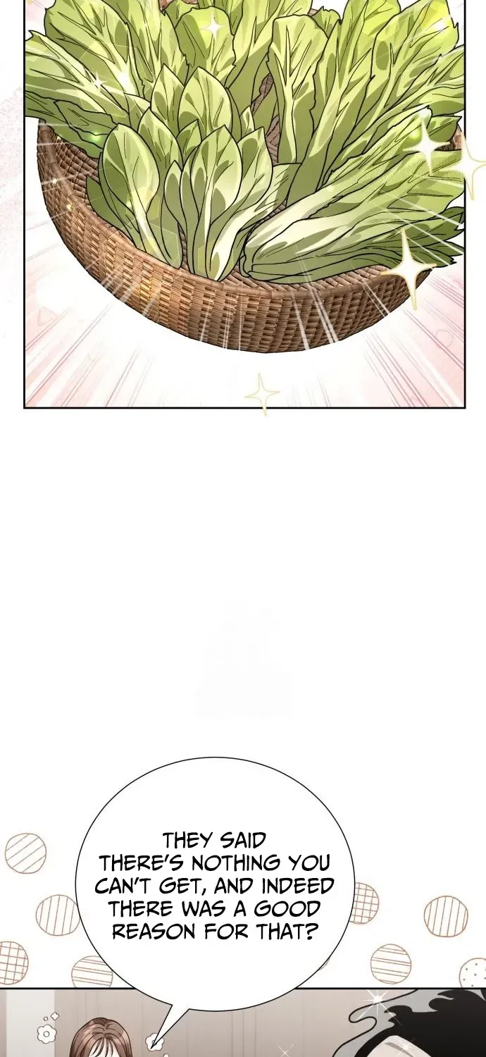 Surviving as the Tyrant King’s Chef Chapter 3 page 92 - 