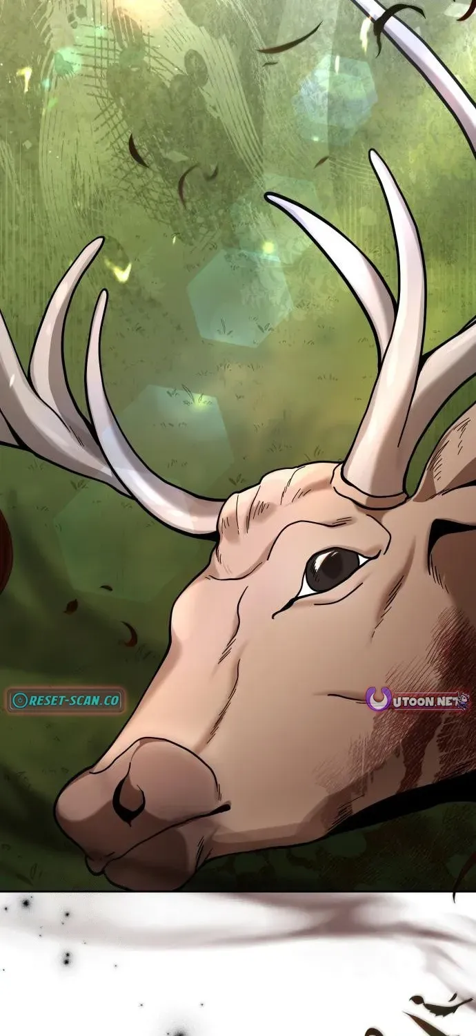Surviving as the Tyrant King’s Chef Chapter 5 page 3 - 