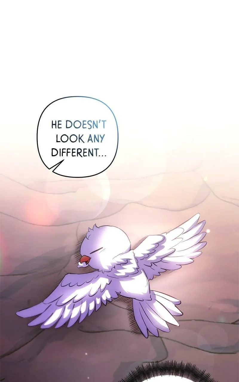 Surviving in the Shounen Manga Chapter 62 page 73 - 