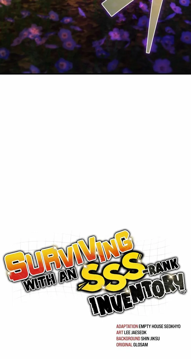 Surviving With an SSS-Rank Inventory Chapter 42 page 9 - 