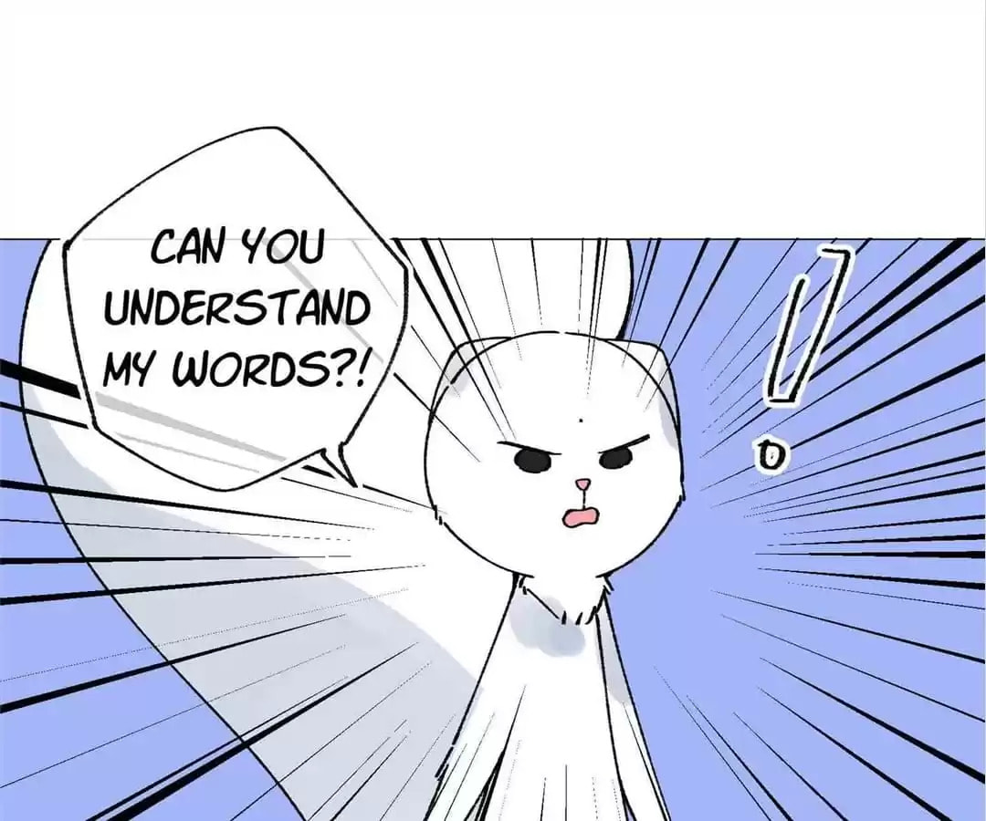 Suspected Confession Chapter 55 page 15 - 