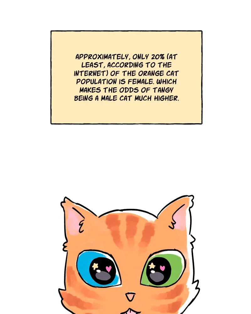 Sweetheart Chapter 62 page 47 - 