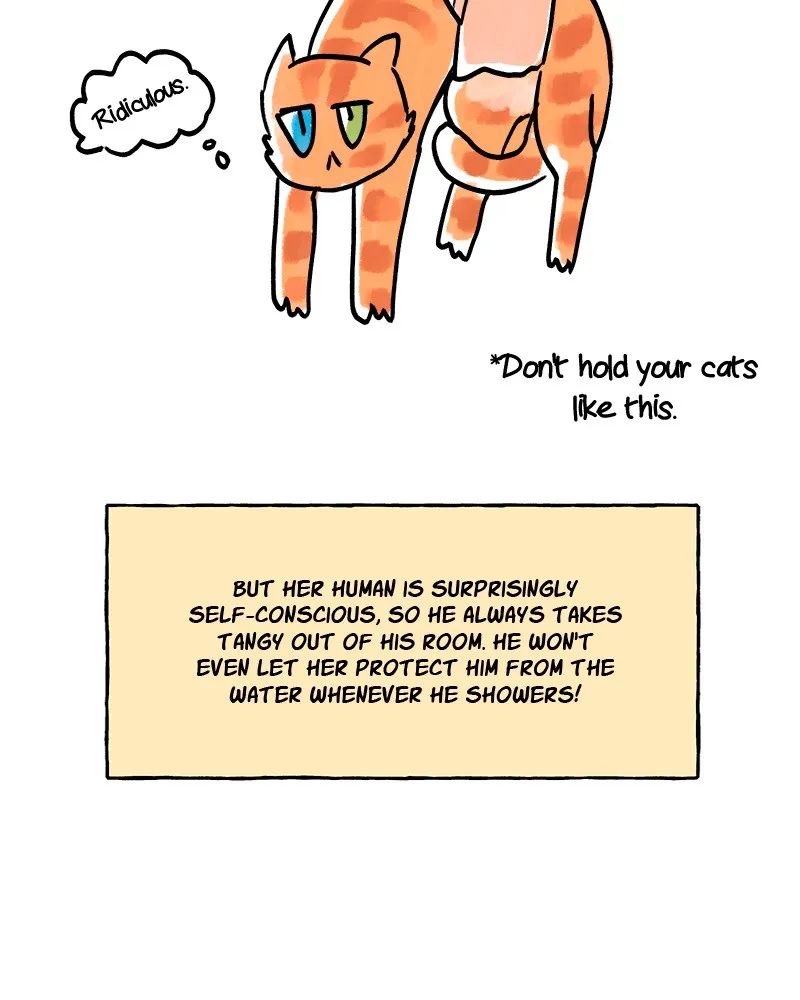 Sweetheart Chapter 62 page 53 - 