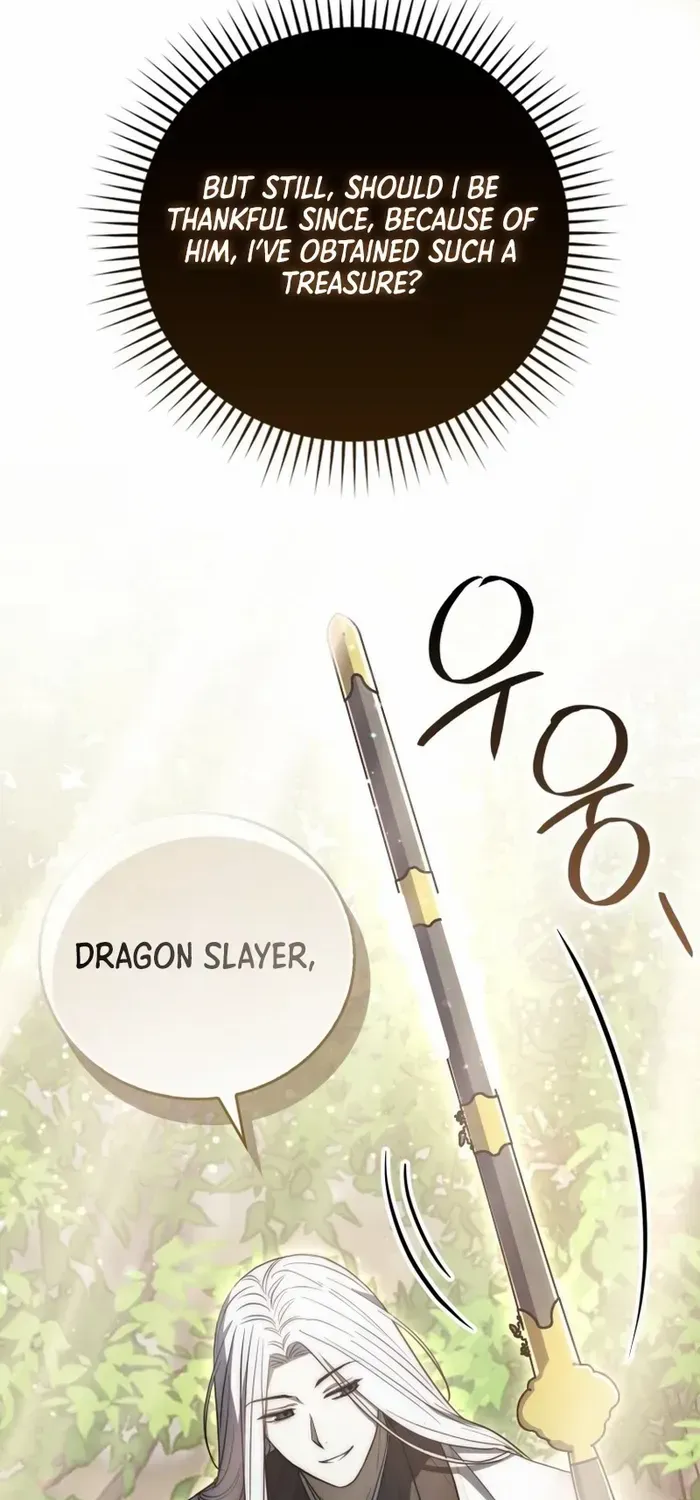 Sword Dragon: Dragon of Light Chapter 13 page 17 - 