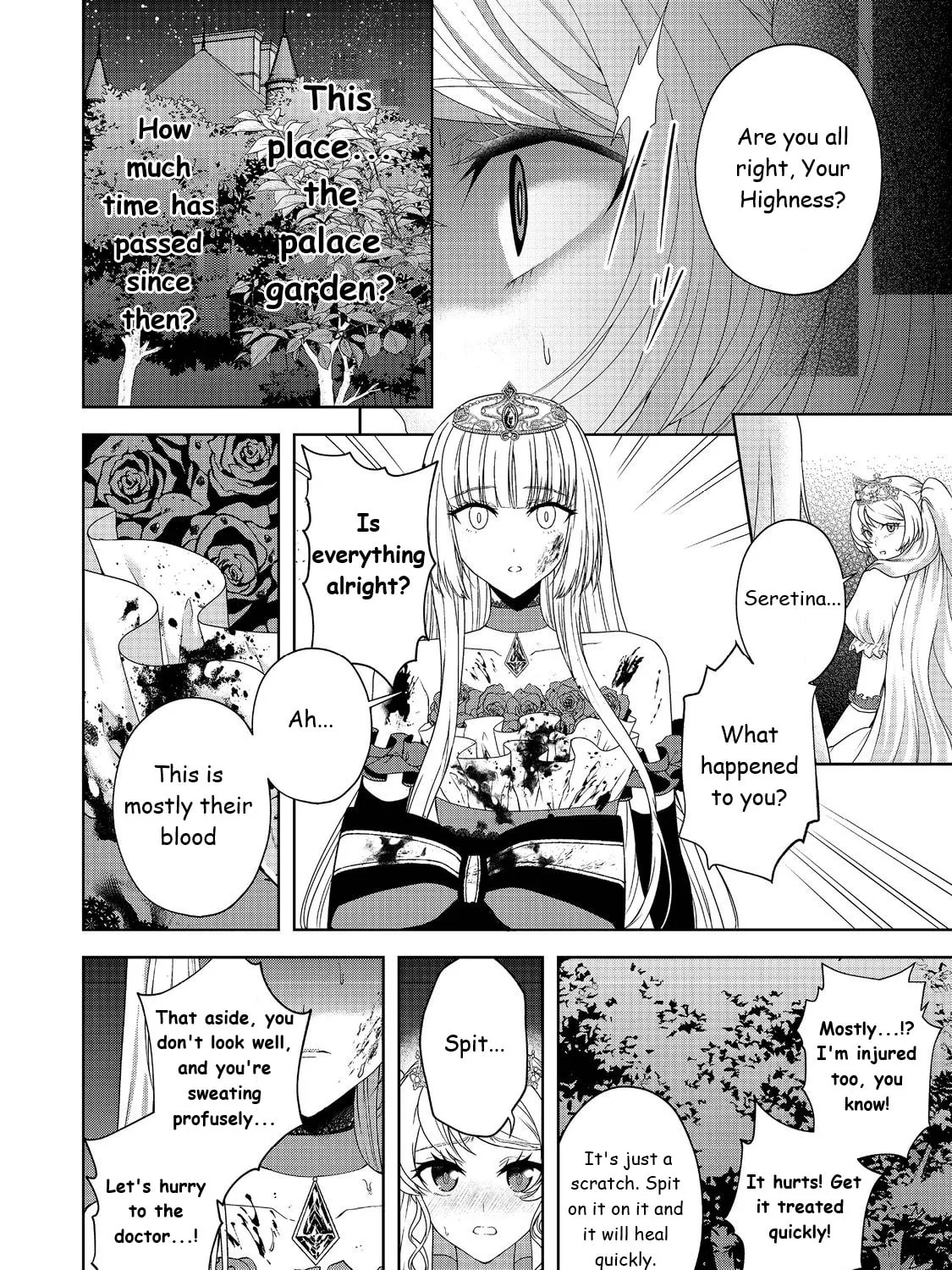 Sword, Tiara and High Heels Chapter 12 page 25 - 