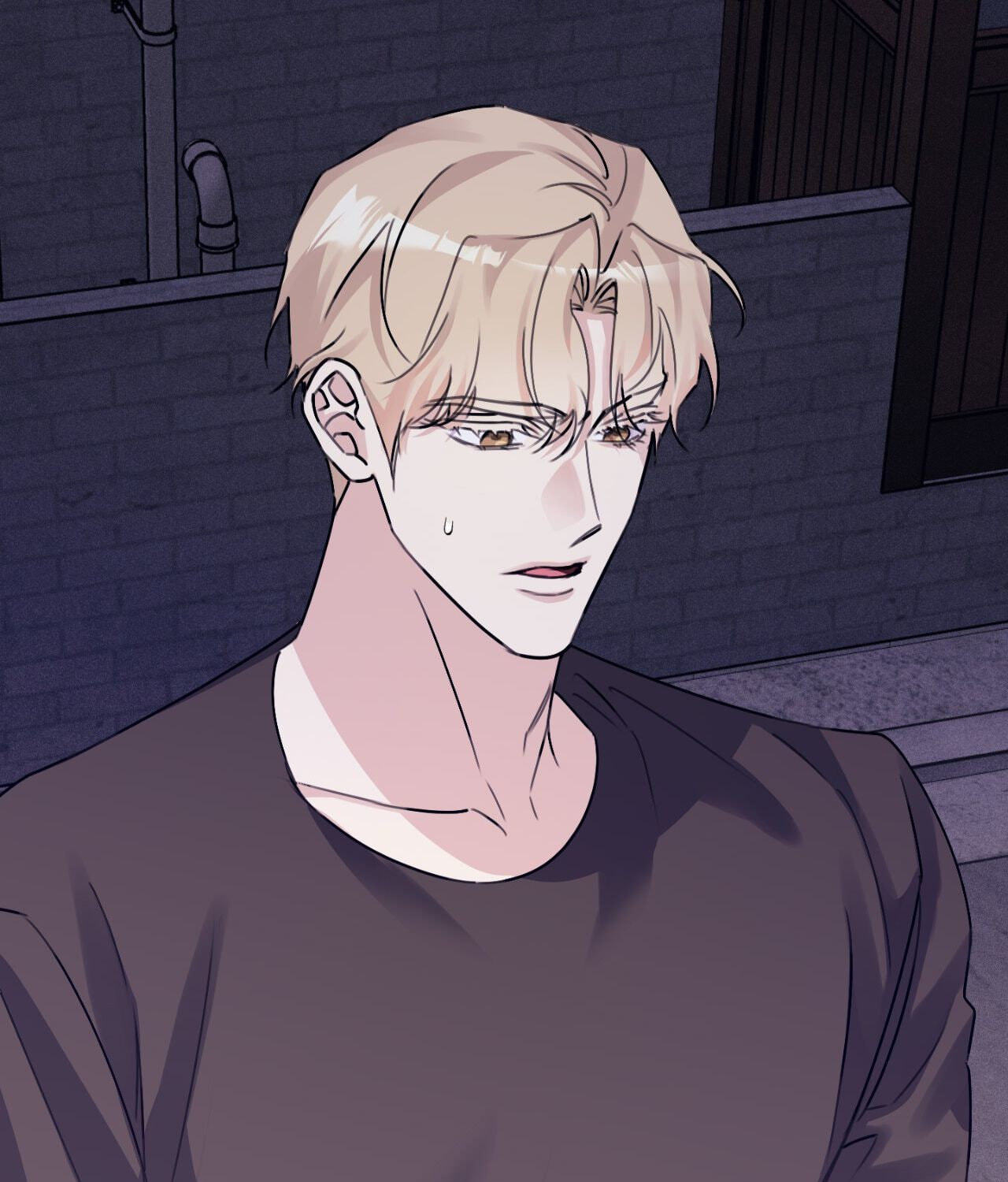 Symbiosis of Luna and Sol Chapter 33 page 19 - 