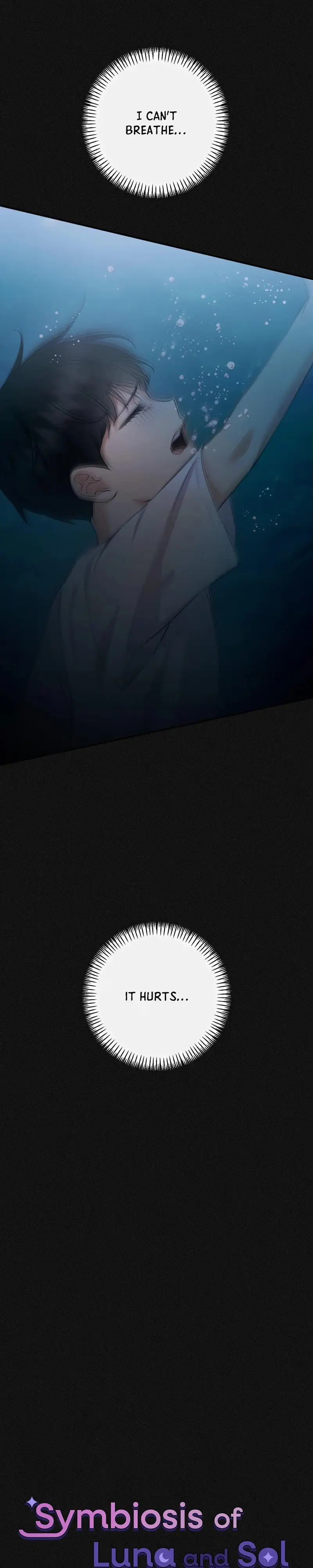 Symbiosis of Luna and Sol Chapter 56 page 6 - 