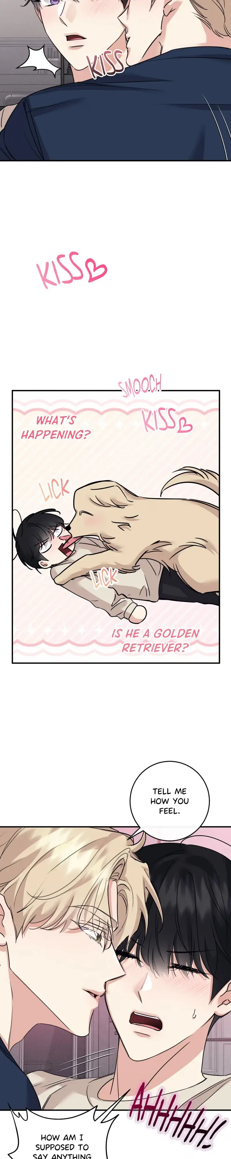 Symbiosis of Luna and Sol Chapter 57 page 13 - 