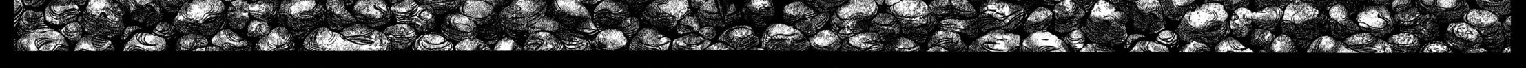 T-Dragon Chapter 2 page 64 - 