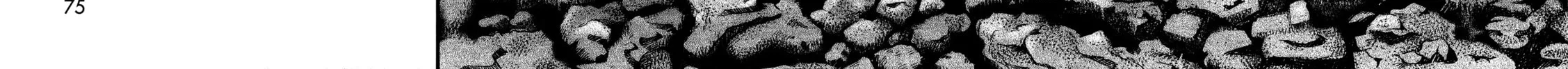 T-Dragon Chapter 2 page 8 - 
