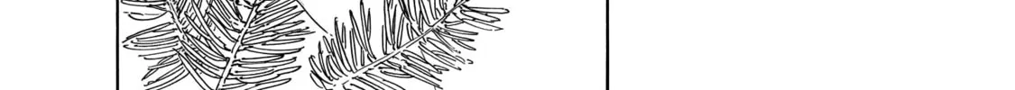 Tabi Chapter 2 page 10 - 