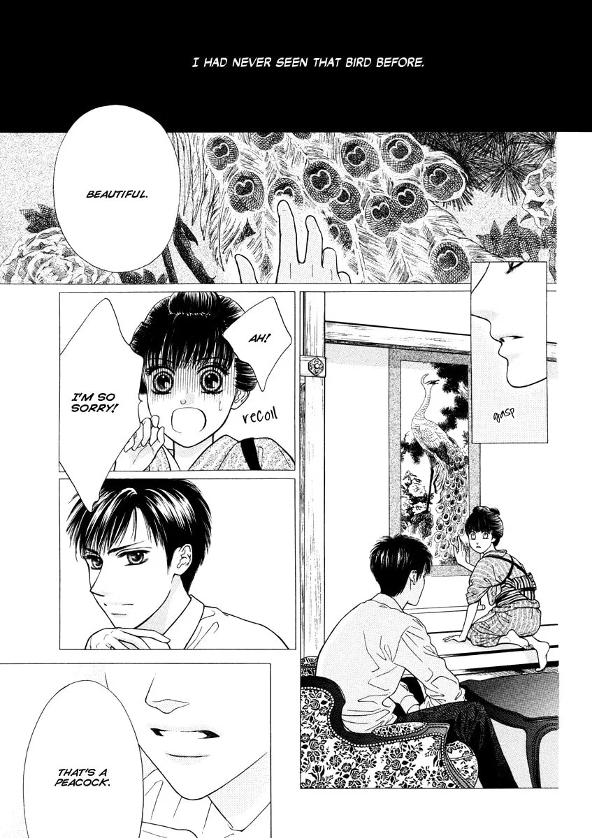 Tattoo Chapter 0 page 6 - 