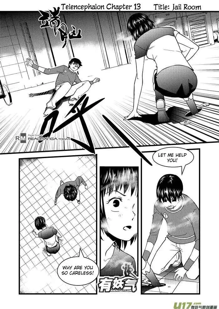 Telencephalon Chapter 13 page 1 - 