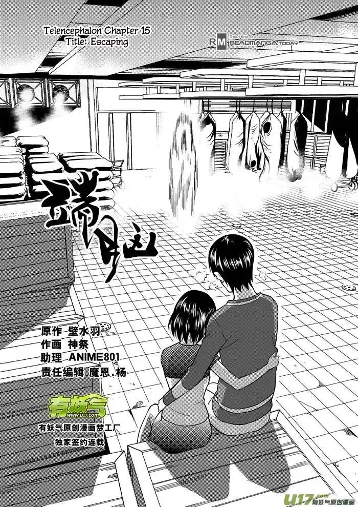 Telencephalon Chapter 15 page 2 - 