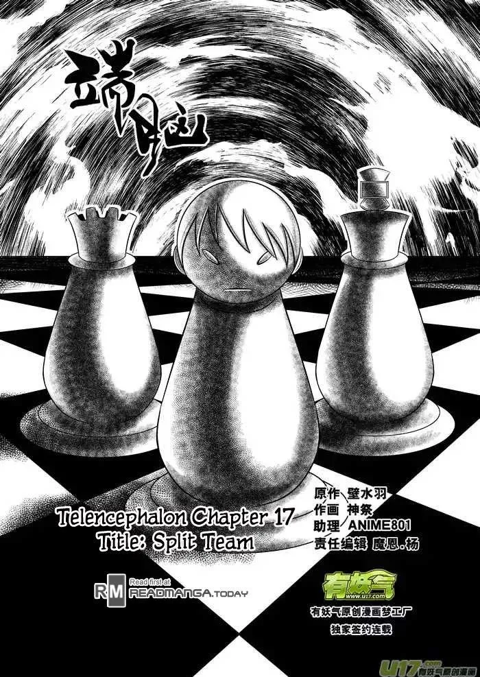 Telencephalon Chapter 17 page 1 - 