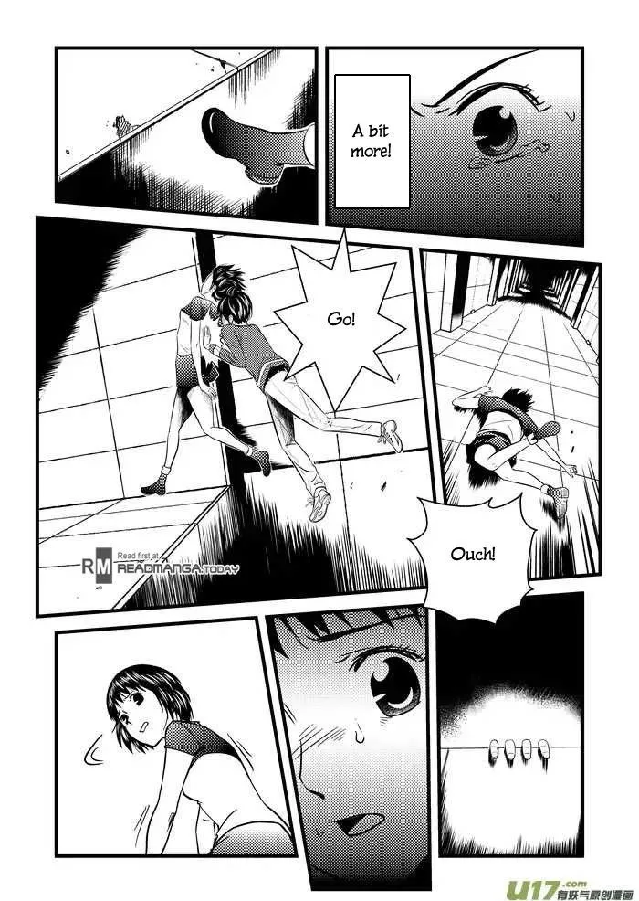 Telencephalon Chapter 17 page 16 - 