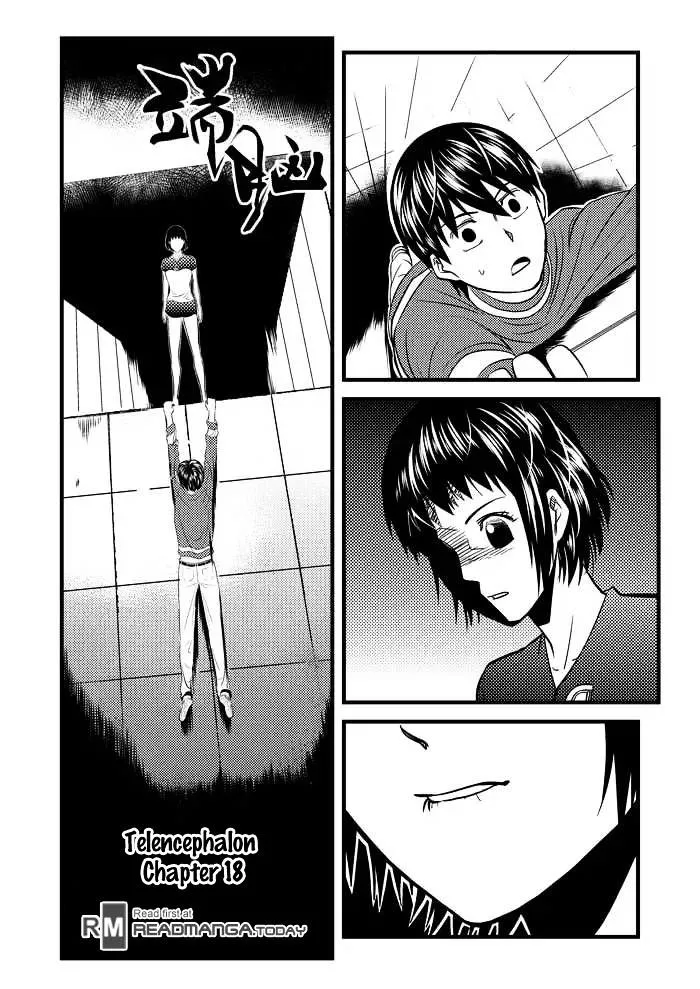 Telencephalon Chapter 18 page 1 - 