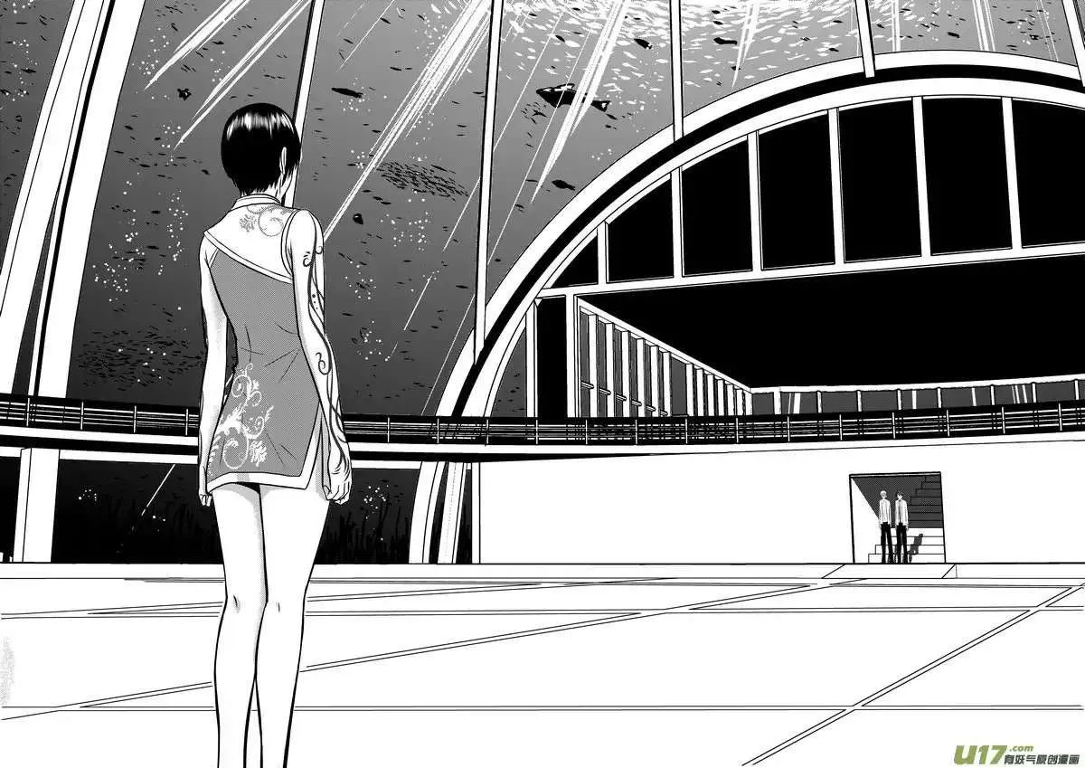Telencephalon Chapter 4 page 9 - 