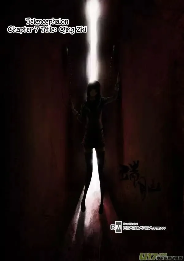 Telencephalon Chapter 7 page 1 - 