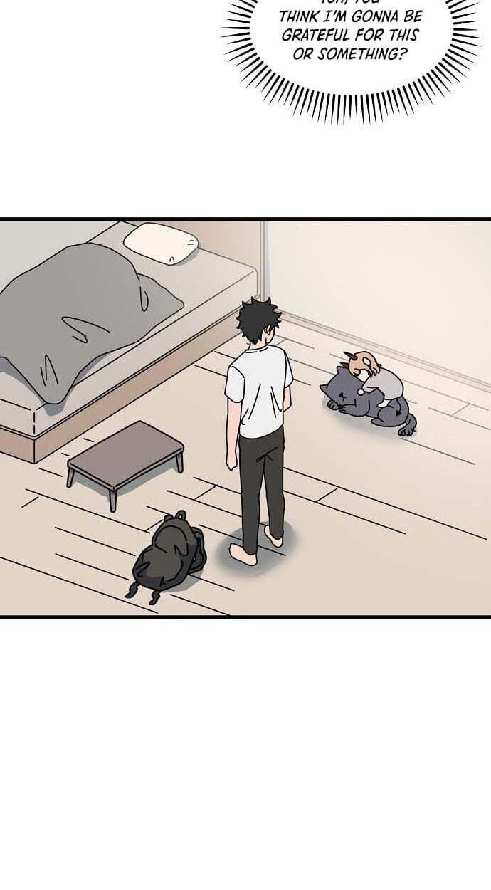 Temporarily Under Devil's Protection! Chapter 4 page 66 - 