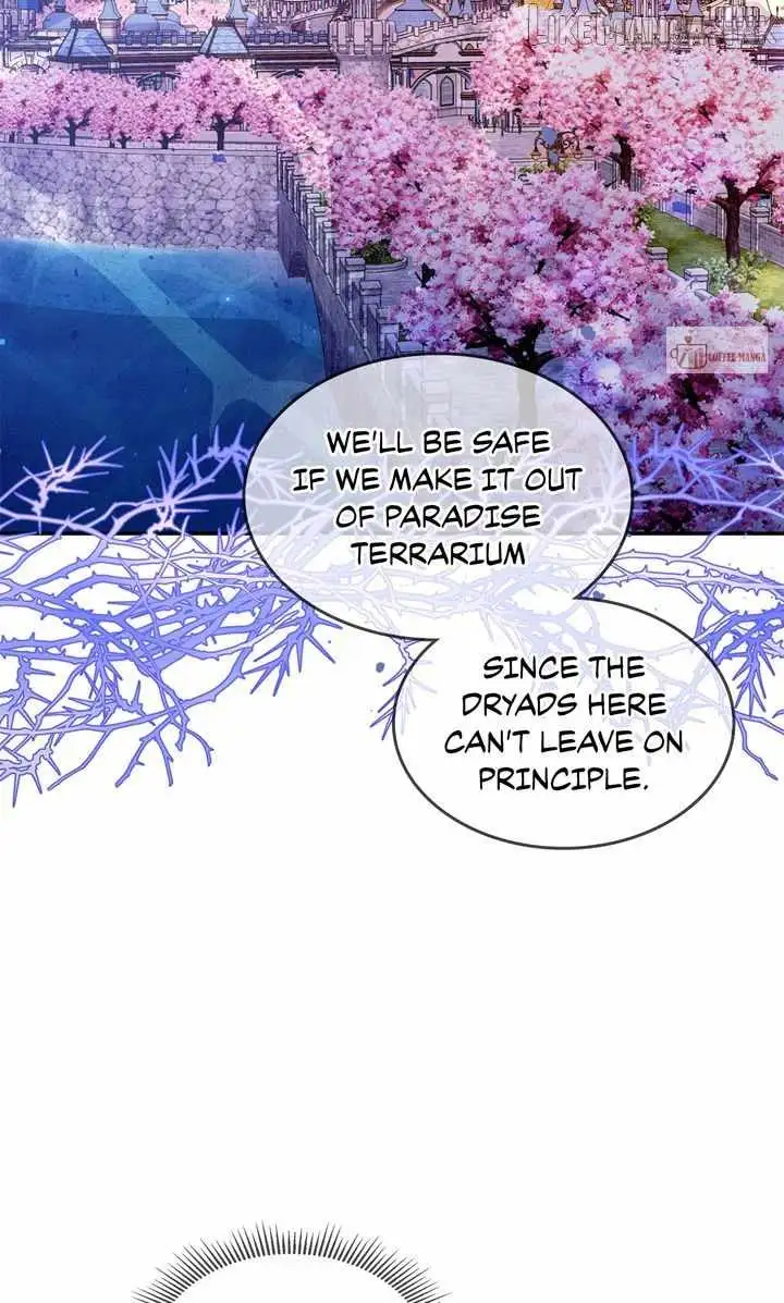 Terrarium Adventure Chapter 114 page 40 - 