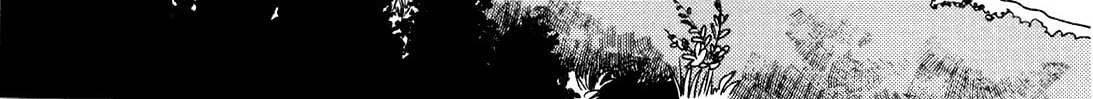 Terrarium in Drawer Chapter 19 page 2 - 