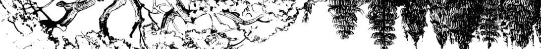 Terrarium in Drawer Chapter 2 page 12 - 