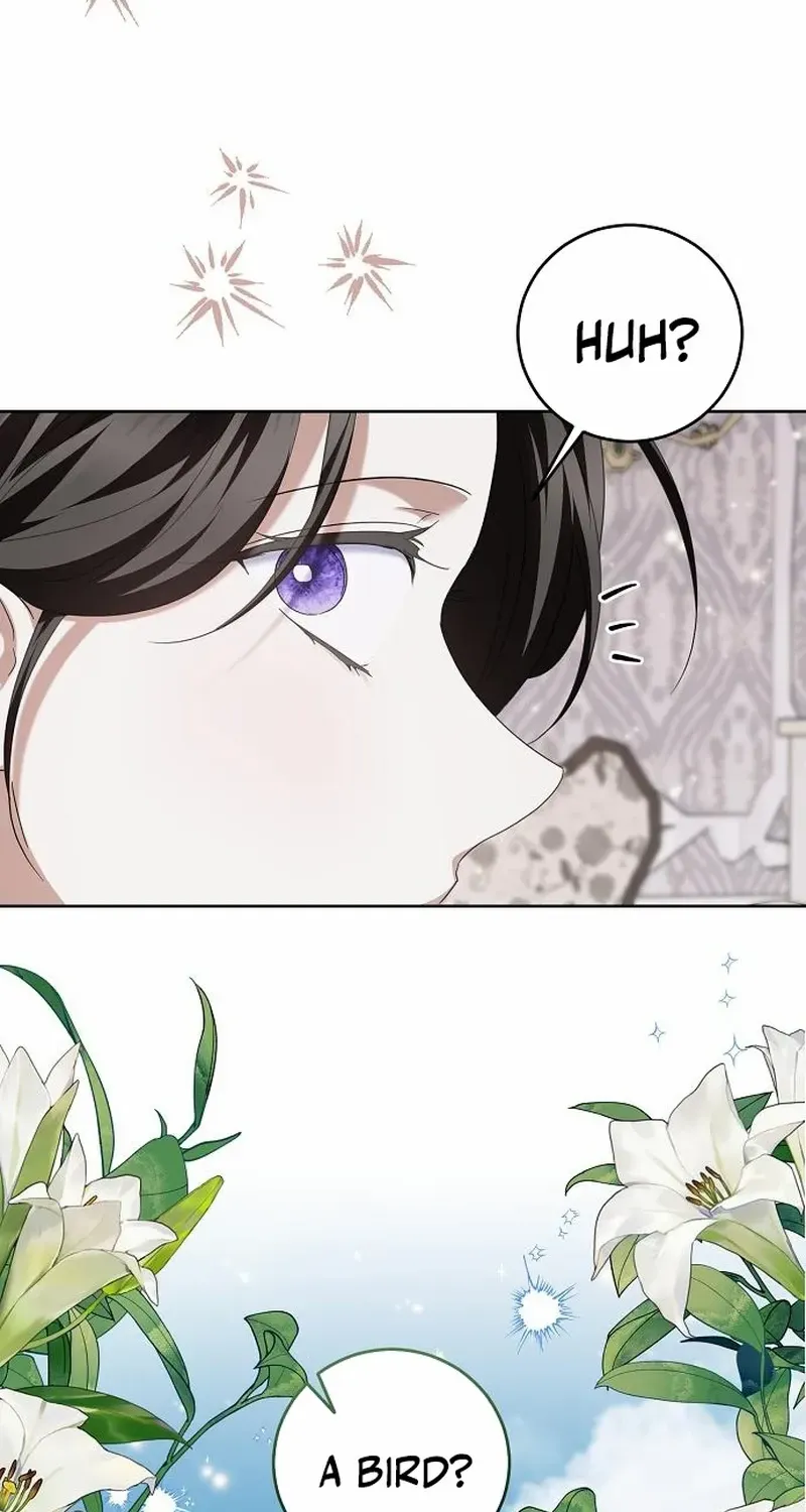 That Marriage, I’ll Do it in this Life Chapter 28 page 65 - 