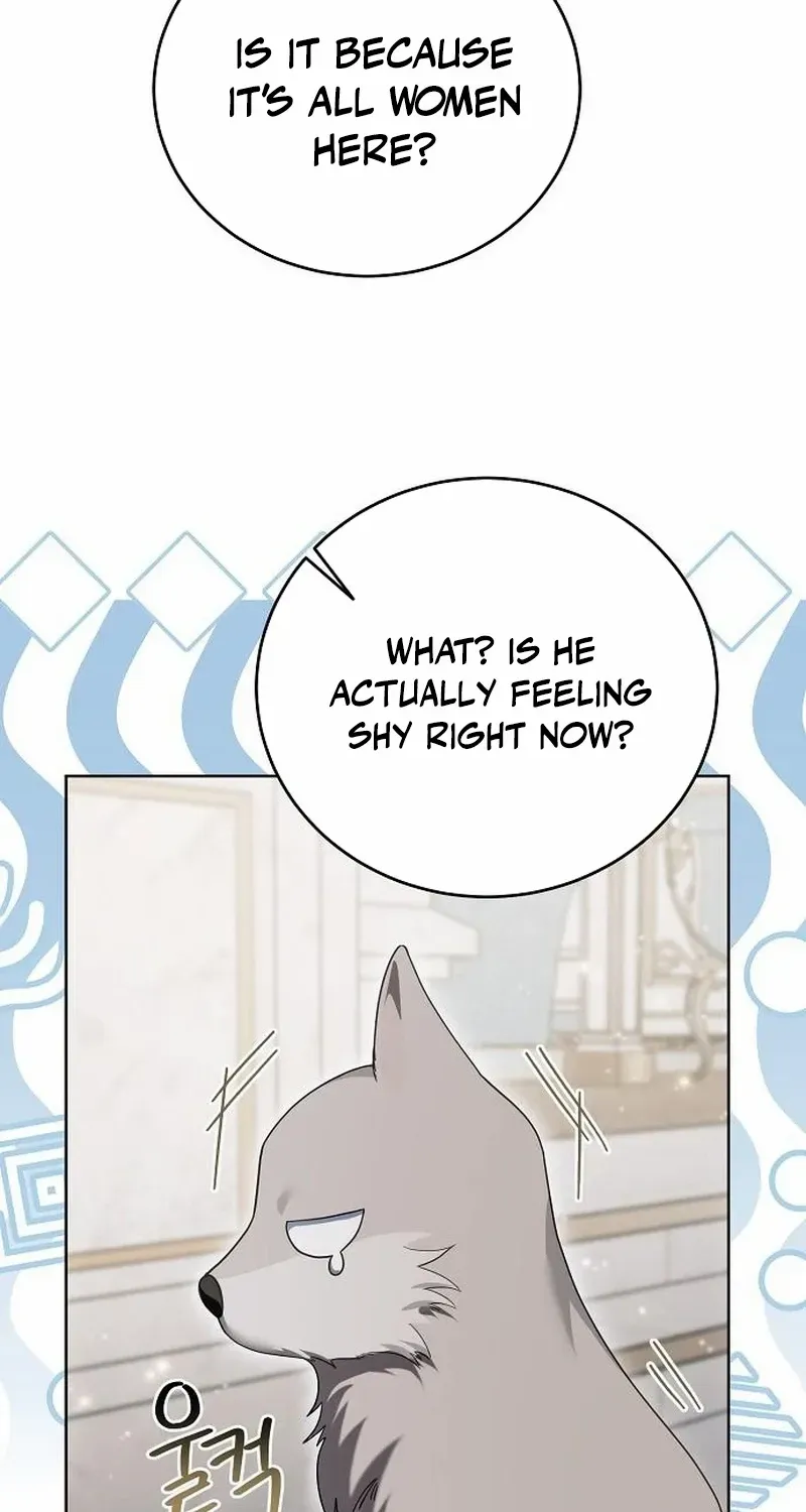 That Marriage, I’ll Do it in this Life Chapter 29 page 66 - 