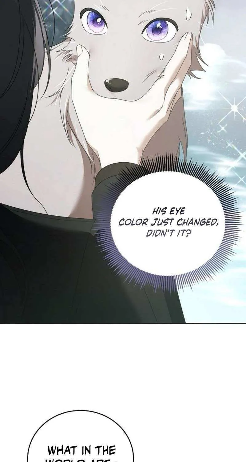 That Marriage, I’ll Do it in this Life Chapter 46 page 61 - 